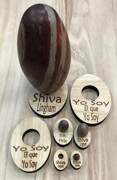 Expositor Shiva Lingam